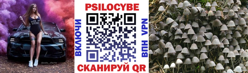 Купить  Полярные Зори  Псилоцибиновые грибы мухоморы 